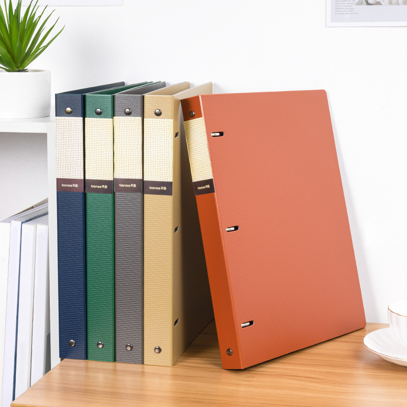 Classeur à anneaux A4 à trois  - Binder Clip Assorted avis et prix
